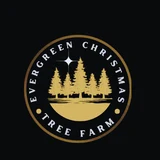 Evergreen Christmas Tree Farm
